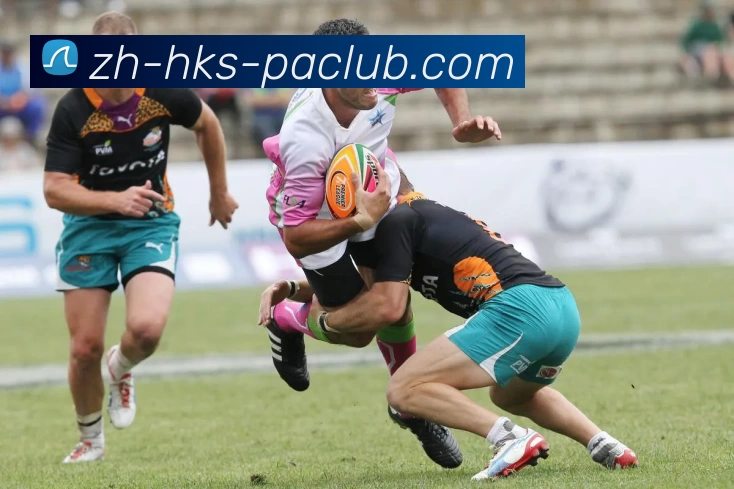 PA直营平台全站App